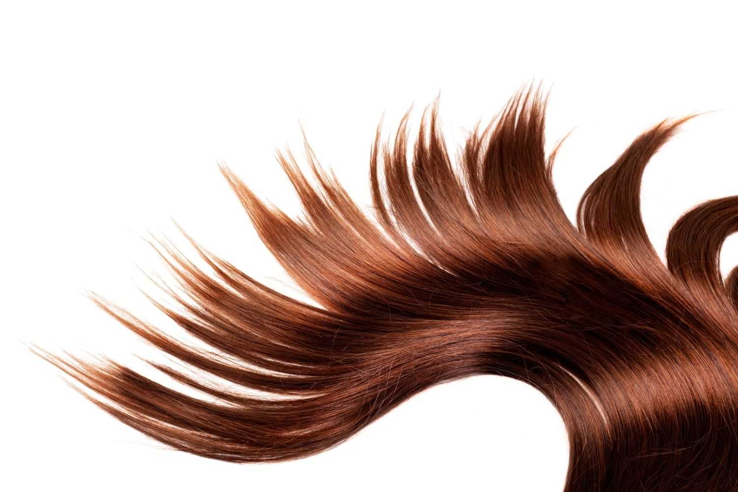 Close-up of flowing auburn hair strands fanned out against a white background.